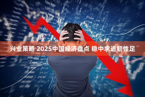 兴业策略 2025中国经济盘点 稳中求进韧性足
