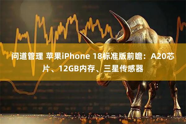 问道管理 苹果iPhone 18标准版前瞻：A20芯片、12GB内存、三星传感器